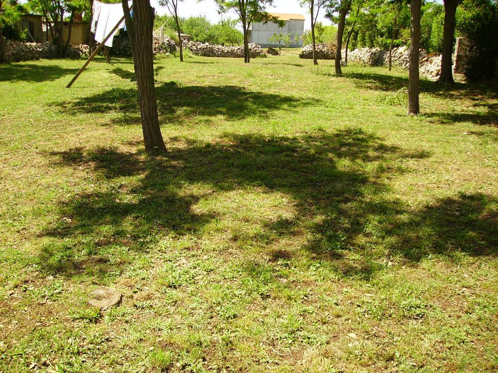 Apartments Anka Privlaka  Bagian luar foto